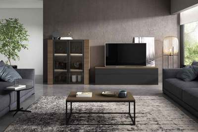 Composición de salón con vitrina y módulo tv